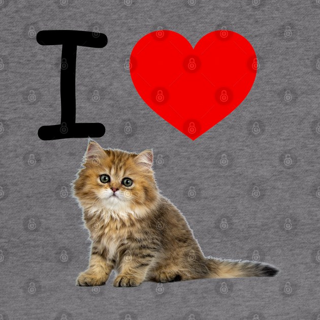 I HEART CUTE FLUFFY KITTEN by EmoteYourself